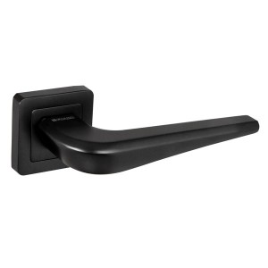   Fuaro () BIO XM BL-24 